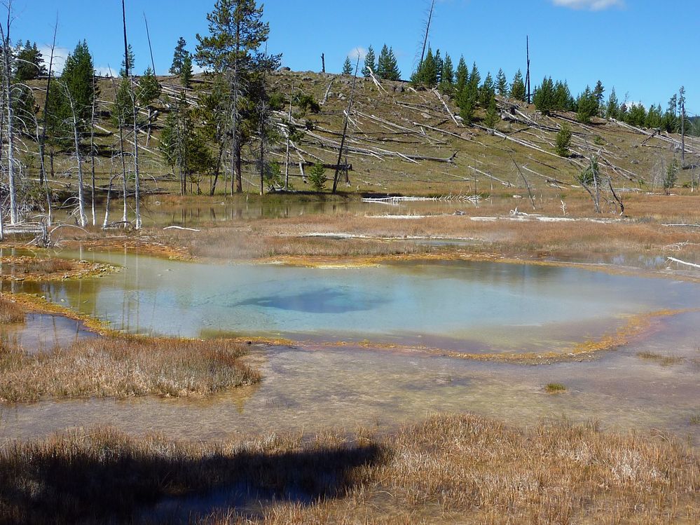 Yellowstone Old faithfull et ses environs (166).JPG